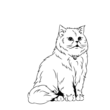 Персидський кіт 2